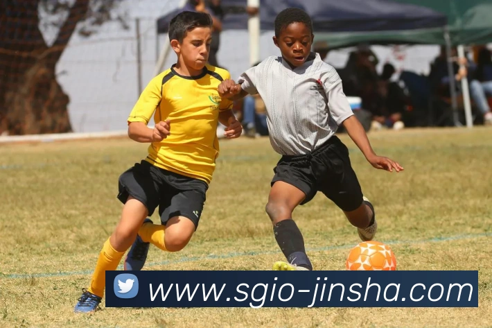 澳门金沙官网发展历程